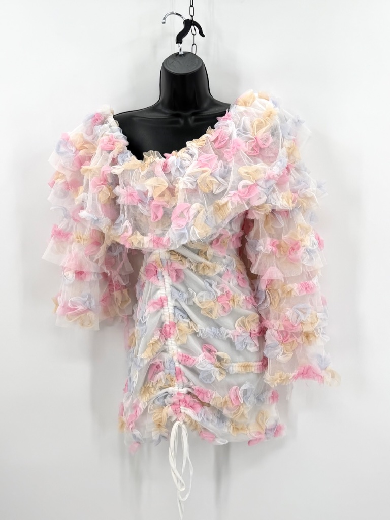 Asos Luxe 3d Floral Dress Sz 2 Ruffle Ruched Pastel Party Festival Tulle Organza
